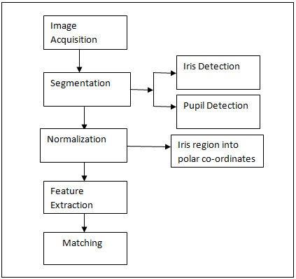 working principle of iris scan