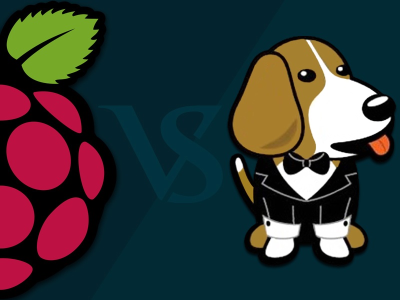 Raspberry Pi or Beagle Bone Black - which is the Right Platform for DIY projects?